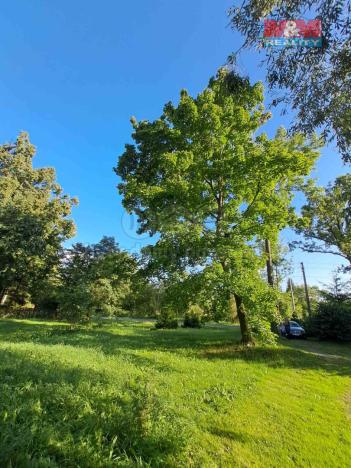 Prodej zahrady, Město Albrechtice, 719 m2