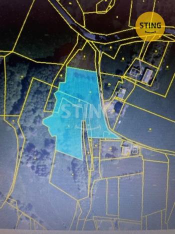 Prodej trvalého travního porostu, Třinec - Oldřichovice, 7467 m2