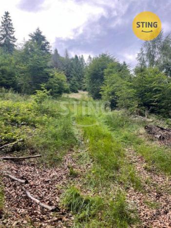 Prodej trvalého travního porostu, Košařiska, 6262 m2