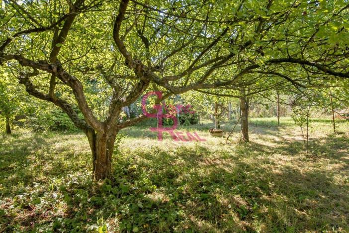 Prodej chaty, Prštice, Hlavní, 17 m2