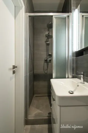 Pronájem bytu 1+1, Praha - Žižkov, Prokopova, 29 m2