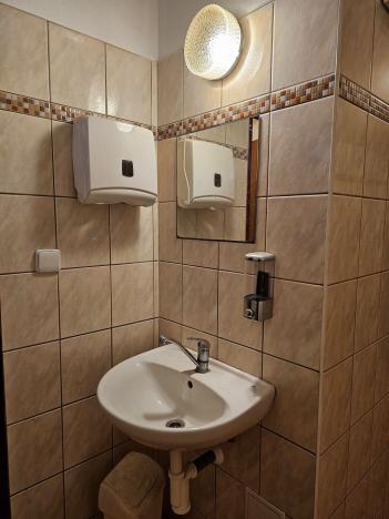 Prodej obchodního prostoru, Plzeň, Sladkovského, 156 m2