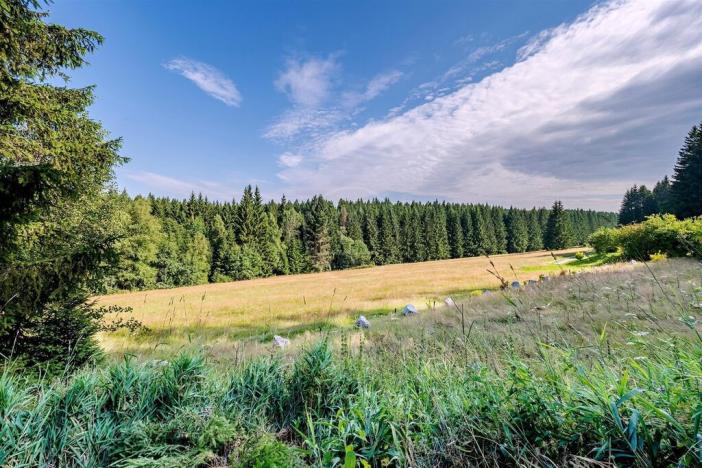 Prodej rodinného domu, Frymburk, 136 m2