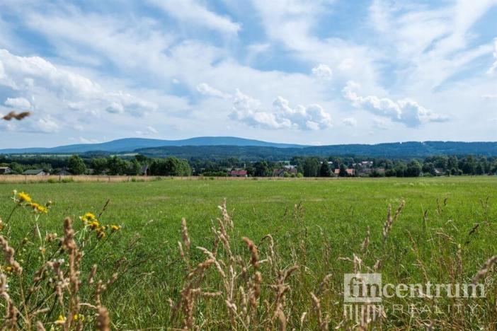 Prodej trvalého travního porostu, Jindřichovice pod Smrkem, 53774 m2