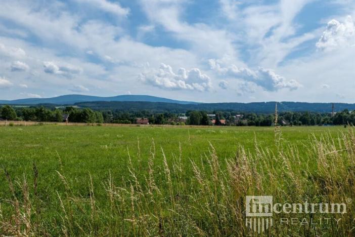 Prodej trvalého travního porostu, Jindřichovice pod Smrkem, 53774 m2