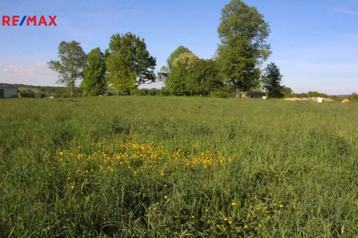 Prodej pozemku pro bydlení, Pertoltice, 4488 m2