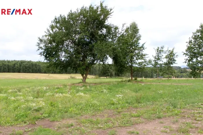 Prodej pozemku pro bydlení, Pertoltice, 4488 m2