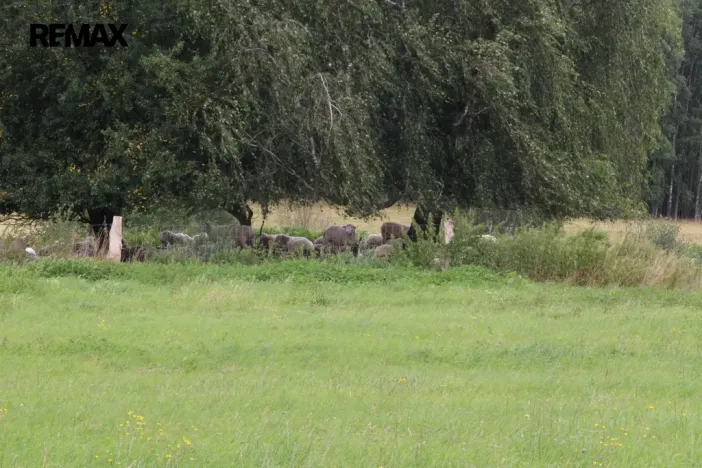 Prodej pozemku pro bydlení, Pertoltice, 4488 m2