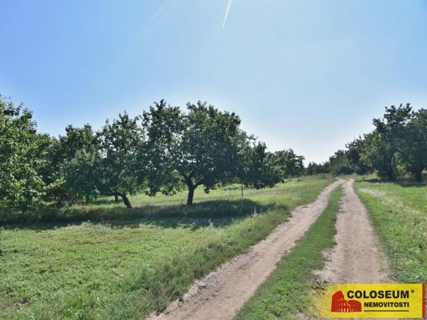 Prodej pozemku pro bydlení, Velké Pavlovice, 550 m2