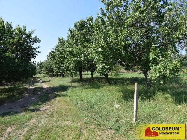 Prodej pozemku pro bydlení, Velké Pavlovice, 550 m2