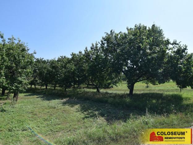 Prodej pozemku pro bydlení, Velké Pavlovice, 550 m2