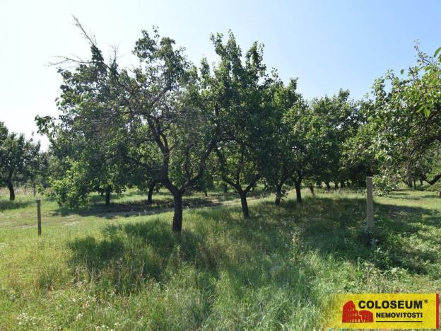 Prodej pozemku pro bydlení, Velké Pavlovice, 550 m2