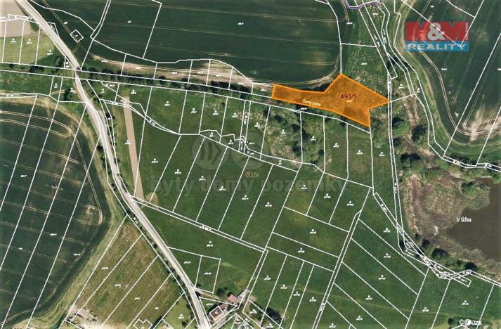 Prodej trvalého travního porostu, Dub, 3051 m2