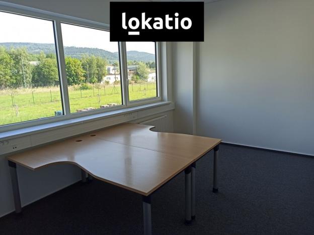 Pronájem skladu, Ostrov, 700 m2