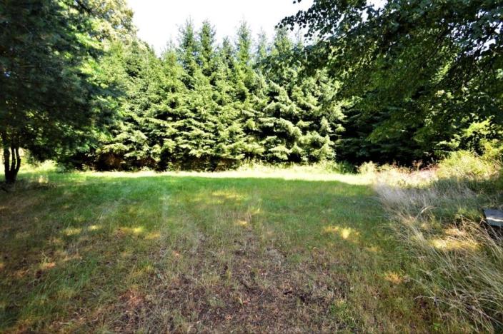 Prodej rodinného domu, Mikulášovice, 3952 m2