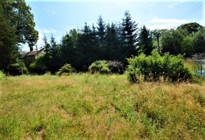 Prodej rodinného domu, Mikulášovice, 3952 m2