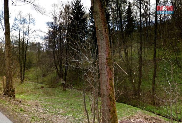 Prodej trvalého travního porostu, Jeřmanice, 2727 m2