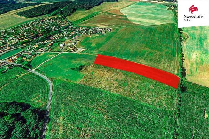 Prodej pole, Druztová, 12180 m2