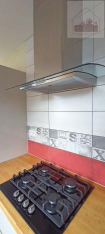 Prodej rodinného domu, Třinec - Oldřichovice, 347 m2