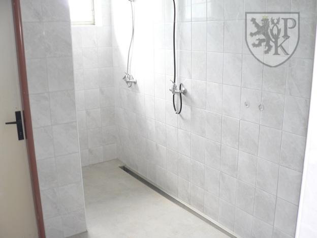 Prodej komerční nemovitosti, Velké Hydčice, 1100 m2