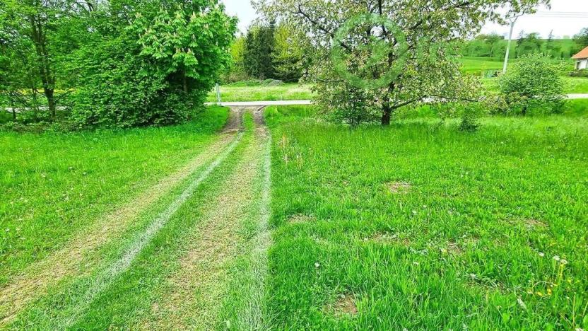 Prodej pozemku pro bydlení, Orlické Podhůří, 2509 m2