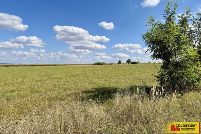 Prodej pozemku pro komerční výstavbu, Znojmo, 22332 m2