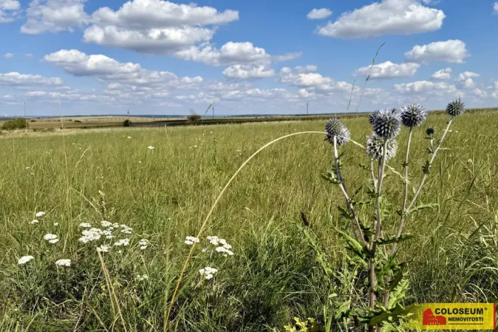 Prodej pozemku pro komerční výstavbu, Znojmo, 22332 m2