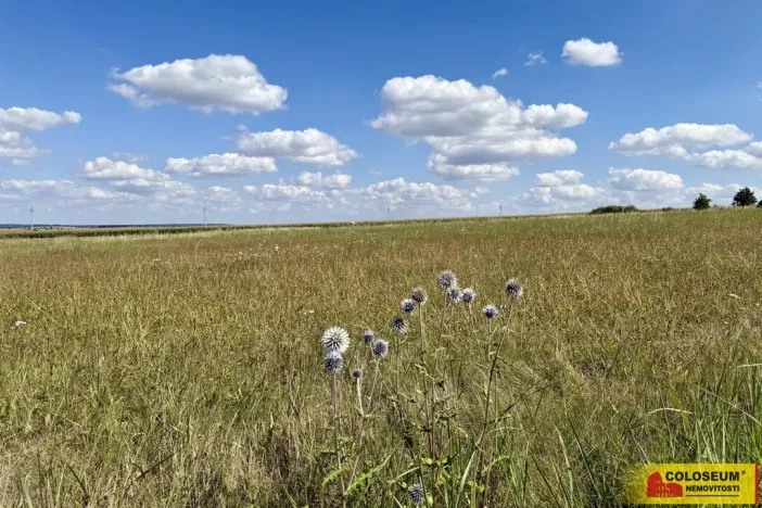 Prodej pozemku pro komerční výstavbu, Znojmo, 22332 m2