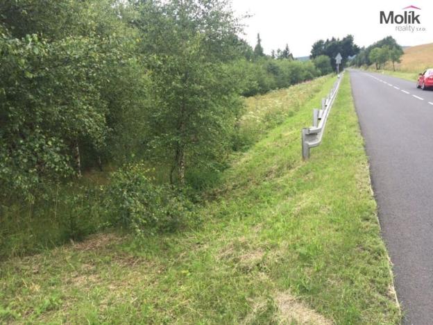 Prodej pozemku pro komerční výstavbu, Loučná pod Klínovcem - Háj, Loučná pod Klínovcem, 6354 m2