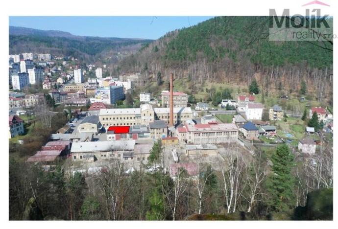 Pronájem výrobních prostor, Děčín - Děčín IX-Bynov, Teplická, 150 m2