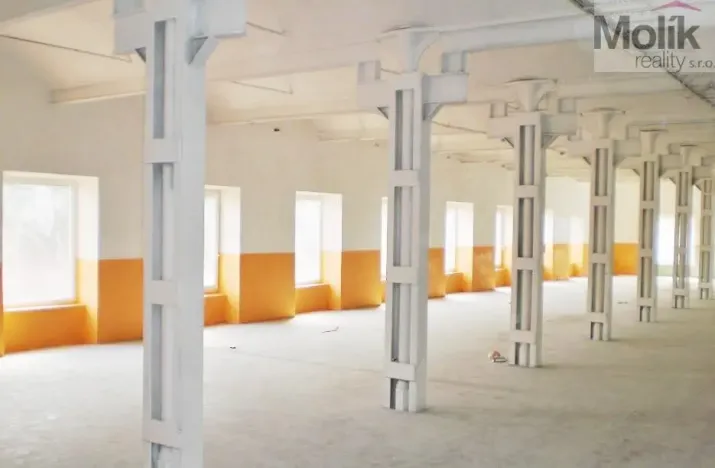 Pronájem výrobních prostor, Děčín - Děčín IX-Bynov, Teplická, 150 m2