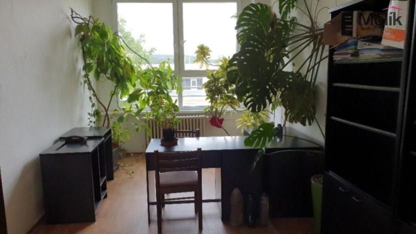 Pronájem kanceláře, Malé Březno, 20 m2