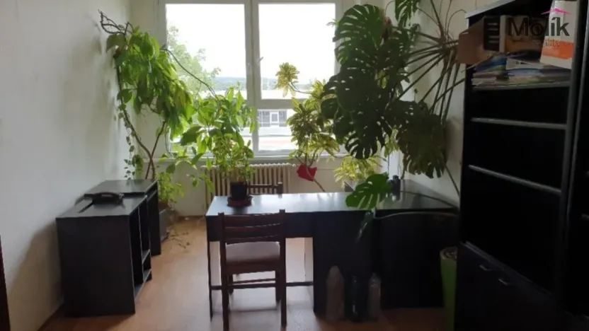 Pronájem kanceláře, Malé Březno, 20 m2