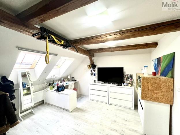 Prodej vícegeneračního domu, Žatec, Žižkovo náměstí, 200 m2