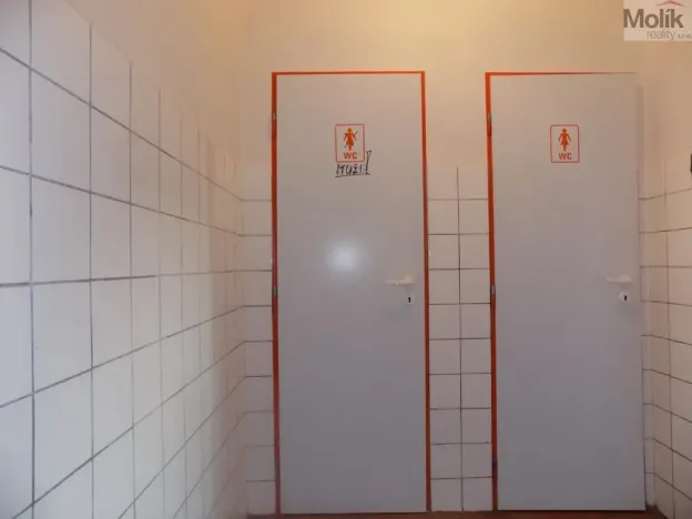 Pronájem skladu, Děčín - Děčín IX-Bynov, Teplická, 600 m2