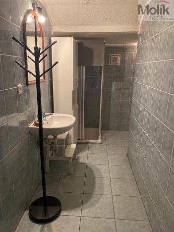 Pronájem chalupy, Noviny pod Ralskem, 561 m2