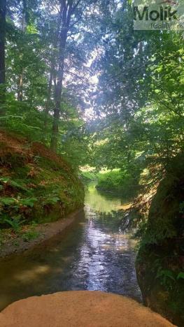 Pronájem chalupy, Noviny pod Ralskem, 561 m2