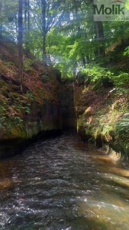 Pronájem chalupy, Noviny pod Ralskem, 561 m2