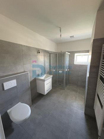 Prodej bytu 1+kk, Doloplazy, 48 m2