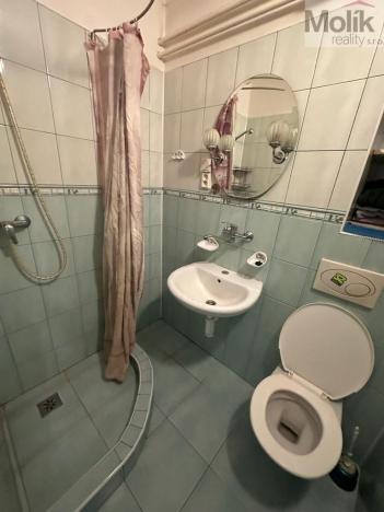 Prodej vícegeneračního domu, Žatec, Tyršova, 417 m2