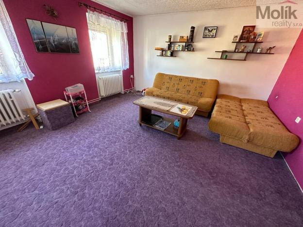 Prodej vícegeneračního domu, Žatec, Tyršova, 417 m2