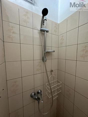 Prodej vícegeneračního domu, Žatec, Tyršova, 417 m2