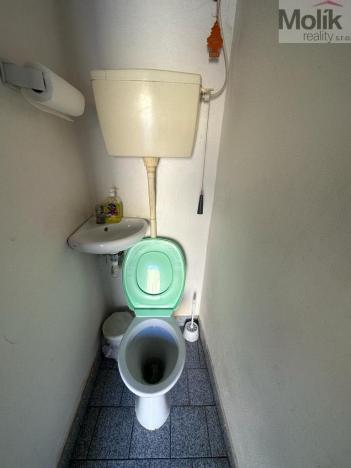 Prodej vícegeneračního domu, Žatec, Tyršova, 417 m2