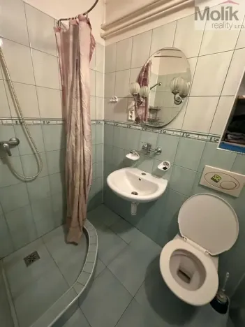Prodej vícegeneračního domu, Žatec, Tyršova, 417 m2