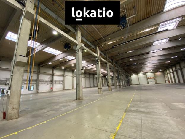 Pronájem skladu, Litovel, 7670 m2