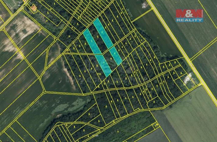 Prodej lesa, Prostějov - Držovice, 4332 m2