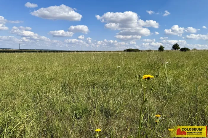 Prodej pozemku pro komerční výstavbu, Znojmo - Mramotice, 8168 m2
