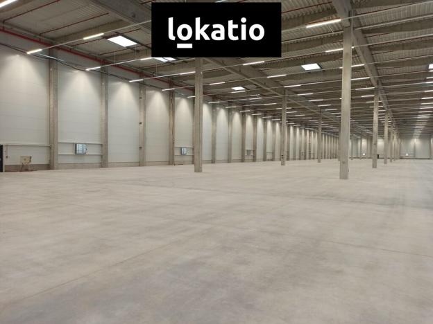 Pronájem skladu, Pardubice, 8000 m2