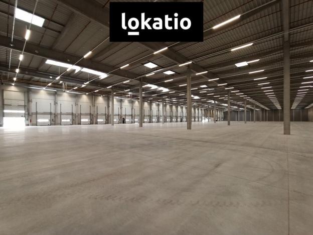 Pronájem skladu, Pardubice, 8000 m2