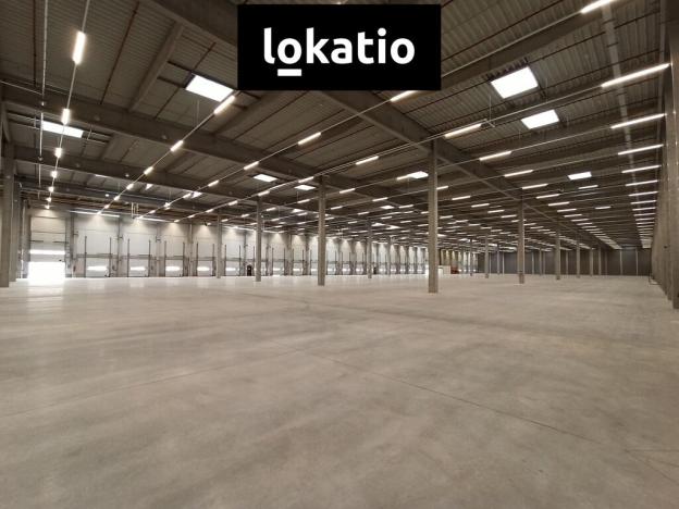 Pronájem skladu, Pardubice, 8000 m2